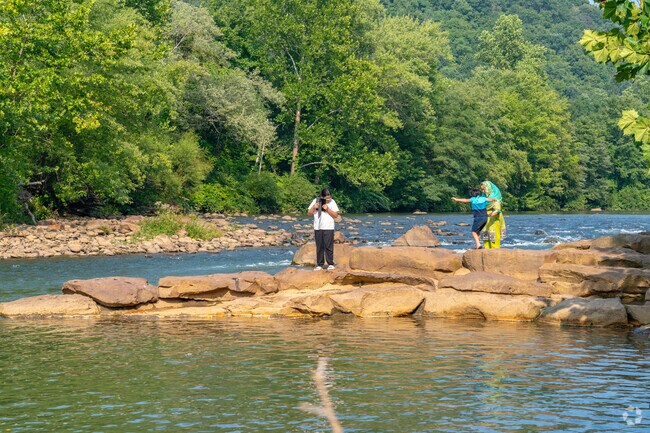 Greenhouse Park is a scenic place to bring the family.