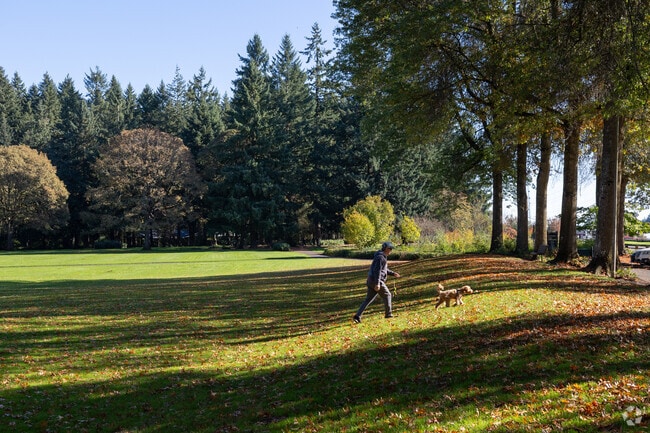 Kevanna Park local walk their dogs at Orchards Park on NE 54th St in Vancouver.