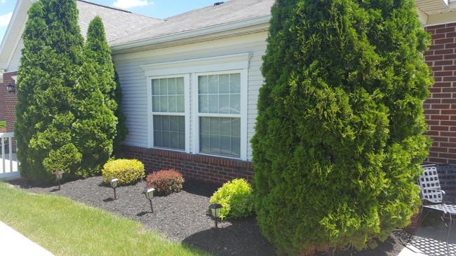 Beautiful Landscaping