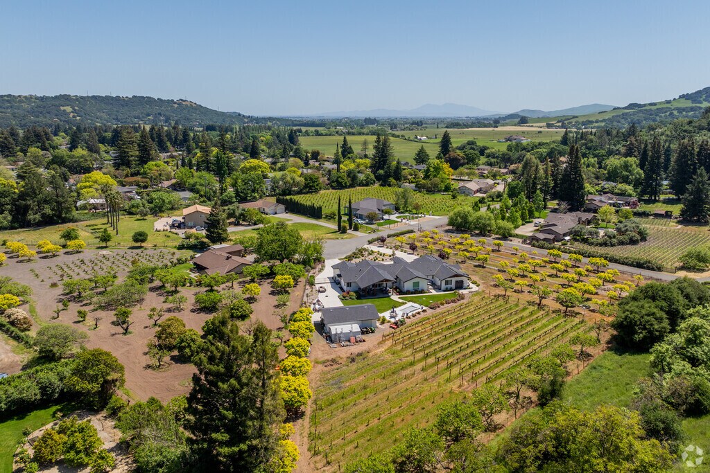 Many homes in Green Valley have their own backyard vineyards.
