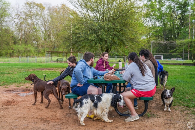 Starkville Dog Park gives city residents a safe and fun space for their pets to play and socialize.