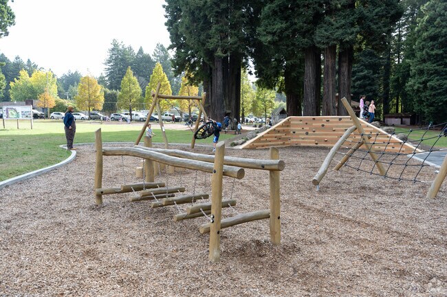 Children play on the tire swing by the obstacle course at Sequoia Park.