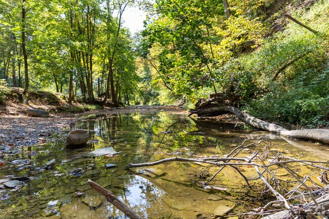 Lodi Community Park is a sprawling park with nature trails, water access, playgrounds and pavilions.