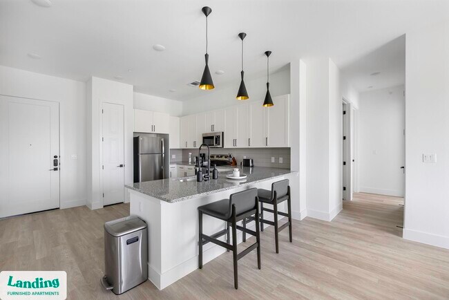 650 E Sycamore St unit 3201, Denton, TX 76201 - photo 5