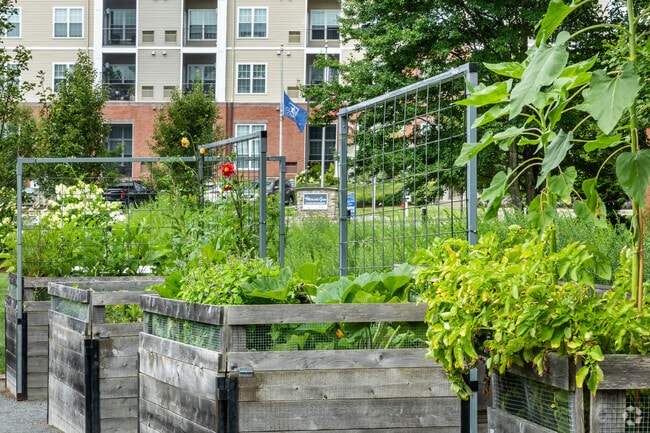 Residences at Highland Glen - 55+ Active Adult Community, Westwood, MA 02090 - photo 7