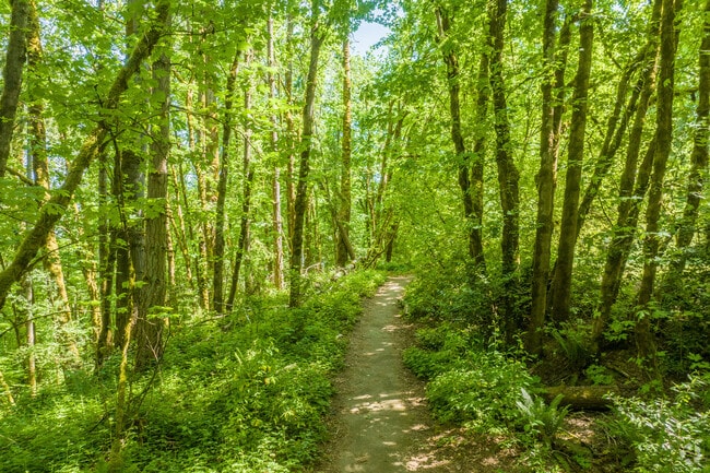 Hiking trails wind through 130 acres at Mary S. Young Park.