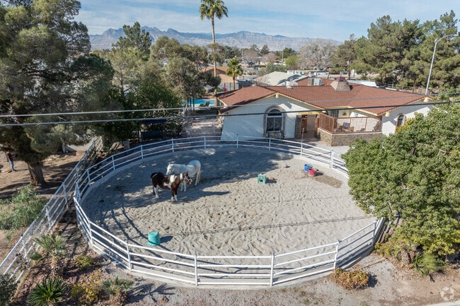 Many residents of The Northwest Area own horses.