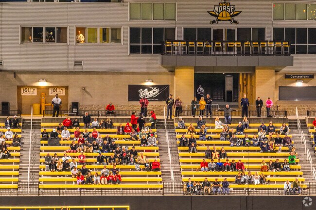 NKU fans cheer on the Norse during a home athletics event in Highland Heights.