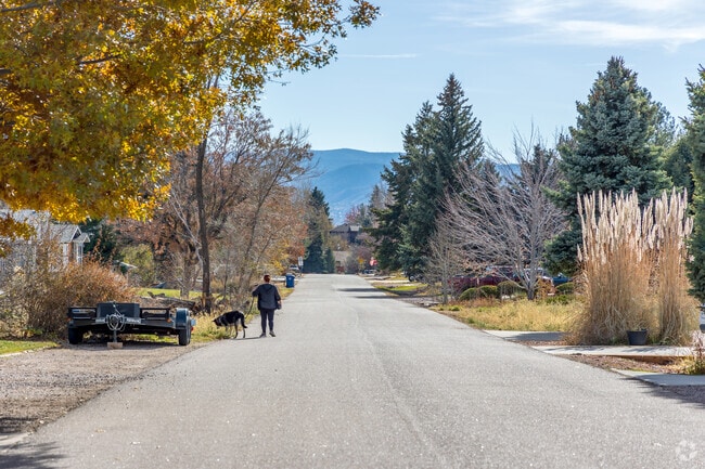 Most residential streets in Meadowbrook Heights do not have paved sidewalks.