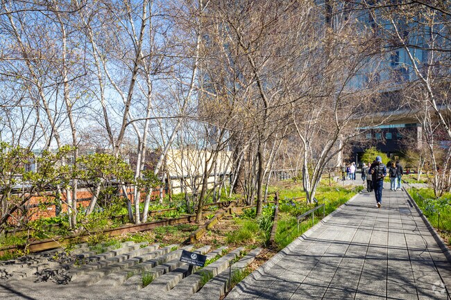 Walking Paths Lined With Trees On the High Line in the Meatpacking District.