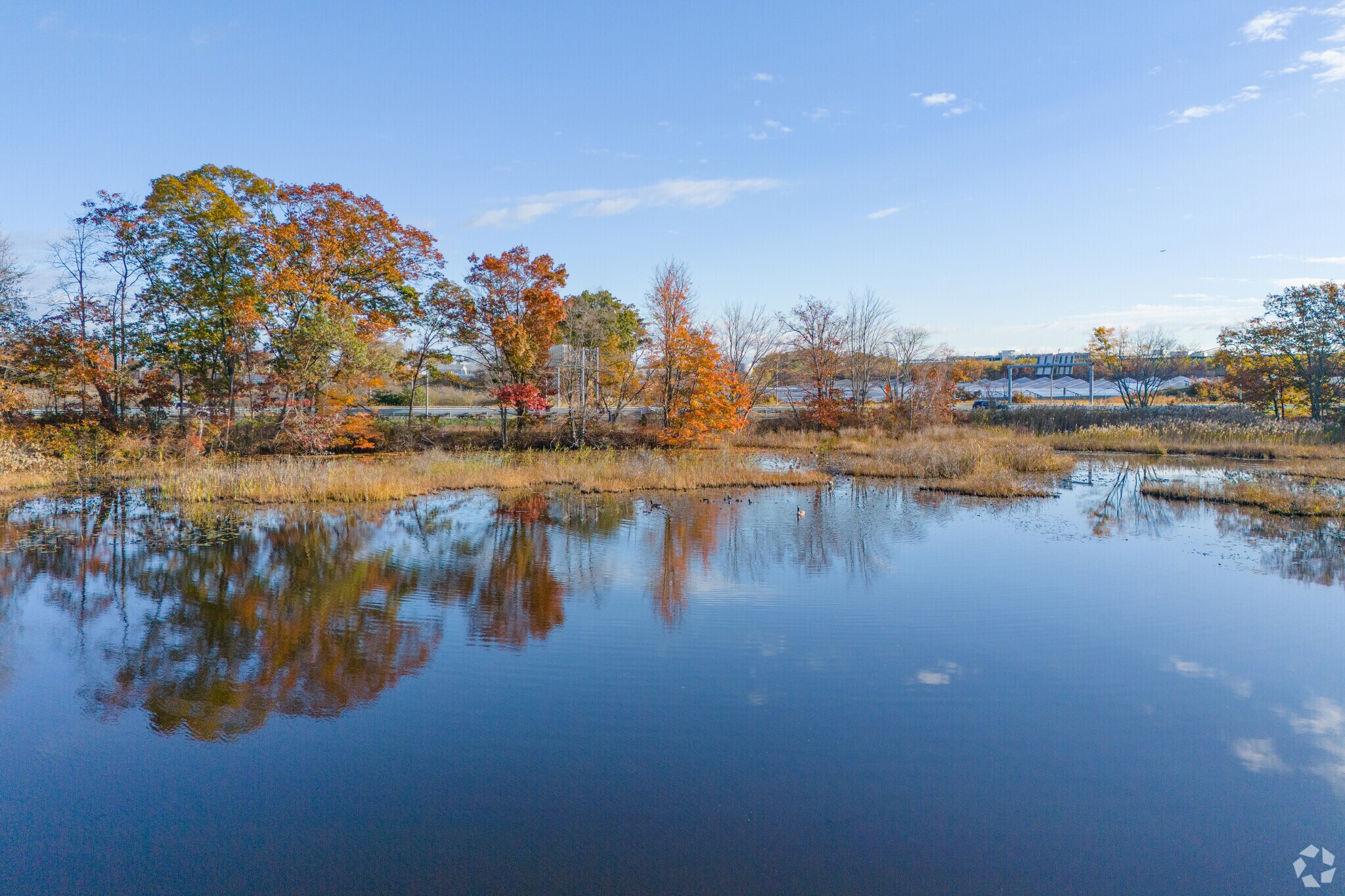 Fishing can be enjoyed at the Three Ponds in the Warwick City Center neighborhood.