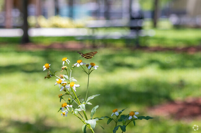 Boulevard Park Isle neighborhood has beautiful nature and its charm.