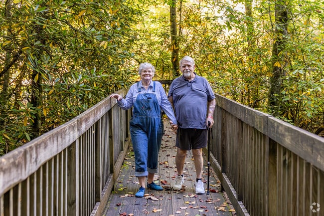 Go for a hike on one of the many trails in Roan Mountain State Park.