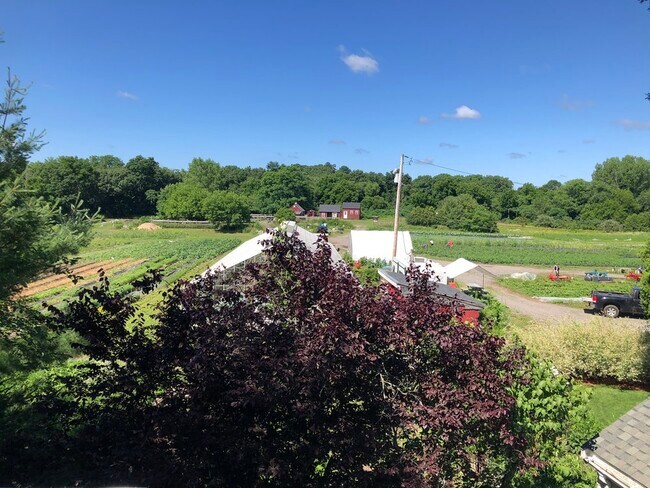 46 Lowell St unit 2, Lexington, MA 02420 - photo 2