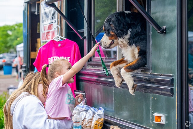 Telford Night Market near Souderton brings neighbors together for food and fun.