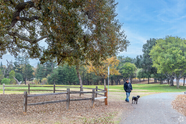 Have a walk with your furry friend at Newhall Community Park.