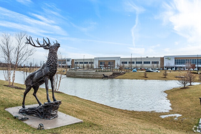 There are beautiful Elk sculptures at the Technology Park in Elk Grove Village East.