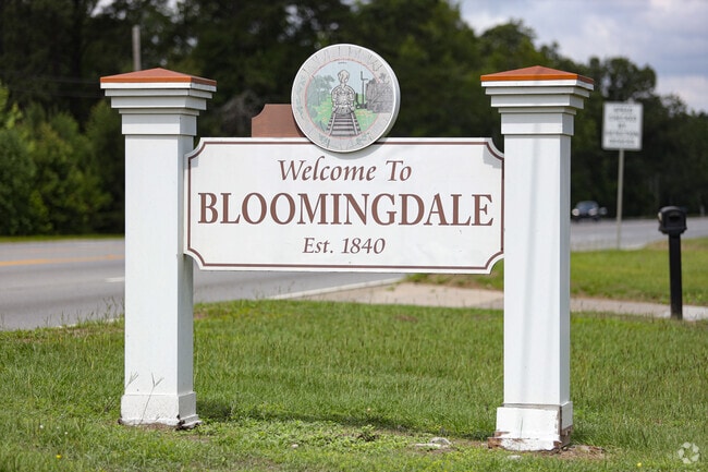 Welcome to Bloomingdale, Georgia.