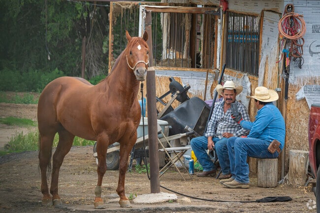 Explore the charm of nearby horse stables in Lewis Pointe in Thornton, Colorado, where the rhythmic hoofbeats and gentle spirit of horses offer a glimpse into a rural past that still whispers through the community.