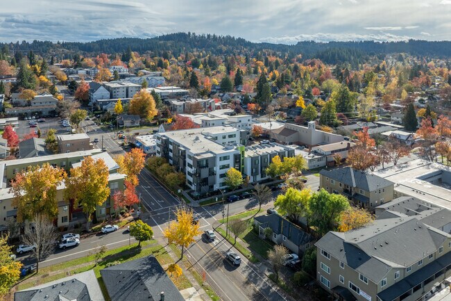 The Andy, Eugene, OR 97401 - photo 4