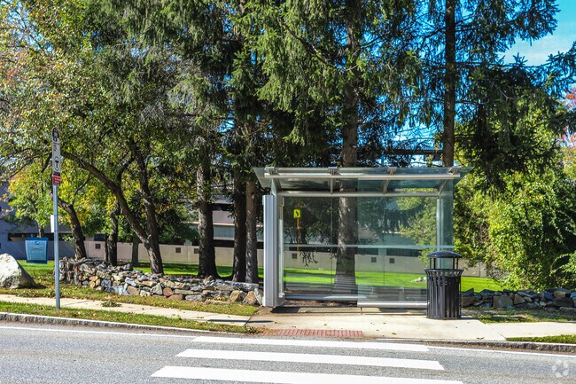 There are many bus stops throughout the town of Five Fields.
