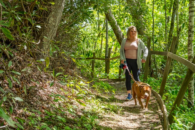 Locals can explore Grandfather Mountain's diverse trails and wildlife habitats, a natural haven near Sugar Mountain.