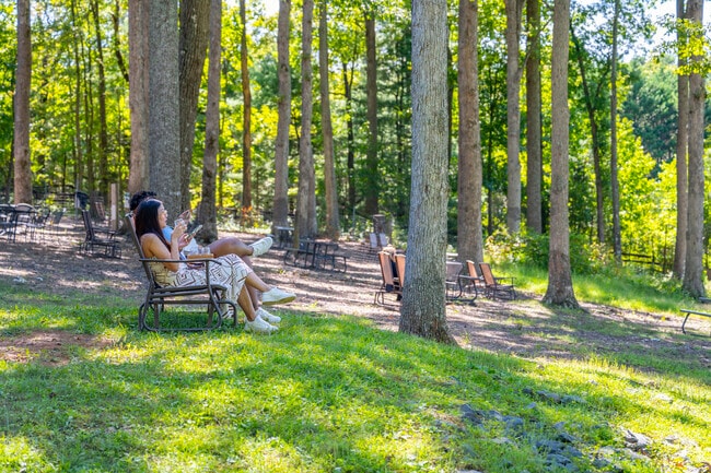 Sip, relax, and enjoy the view at Keswick Vineyards.