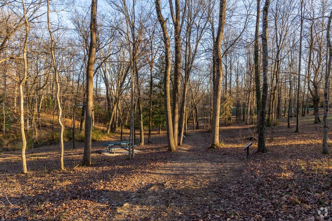 Capshaw Elementary School has a wooded area for locals to explore the outdoors.