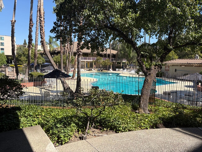 main pool with BBQ area