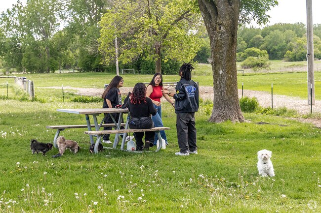 Visitors can sit in the shade at picnic tables at Brookdale Dog Park.