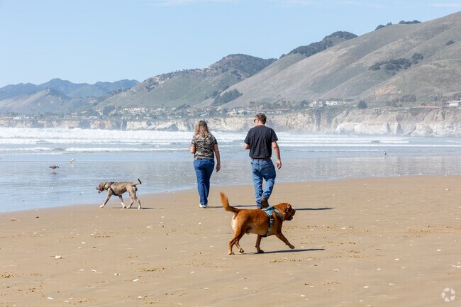 There are dog friendly beaches in Pismo Beach.