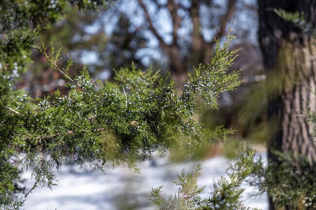 Forest Hills is a neighborhood full of natural beauty.