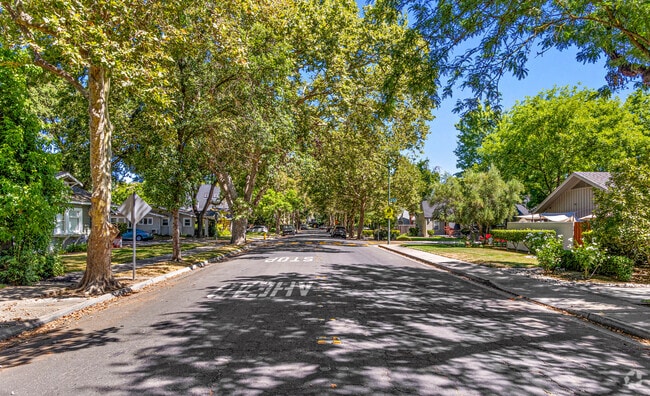 Wide tree line streets are found in Aurora Modesto, Ca.