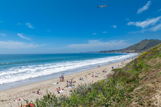 Underground sea 、Tropical、Bayou malibu-road-malibu-ca-