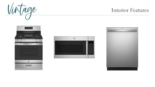 3068 Palma Way, Myrtle Beach, SC 29579 - photo 4