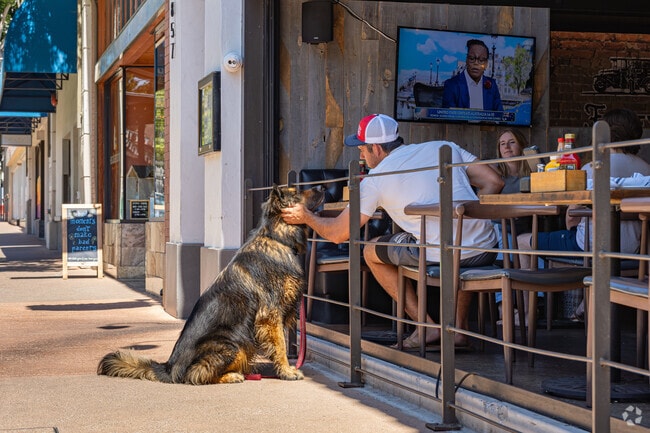 A Bishops Knoll dog owner comforts his furry friend while eating at a downtown SLO restaurant.
