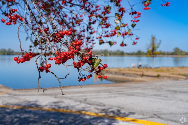Nature is abundant alongside Creve Coeur Lake in Maryland Heights.