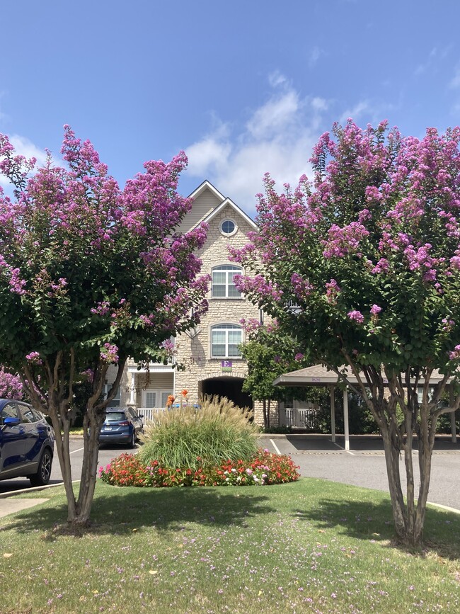 The Pointe! at Hot Springs, Hot Springs, AR 71913 - photo 4