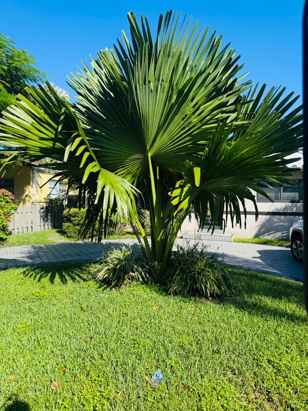 7771 Simms St Unit A, Hollywood, FL 33024