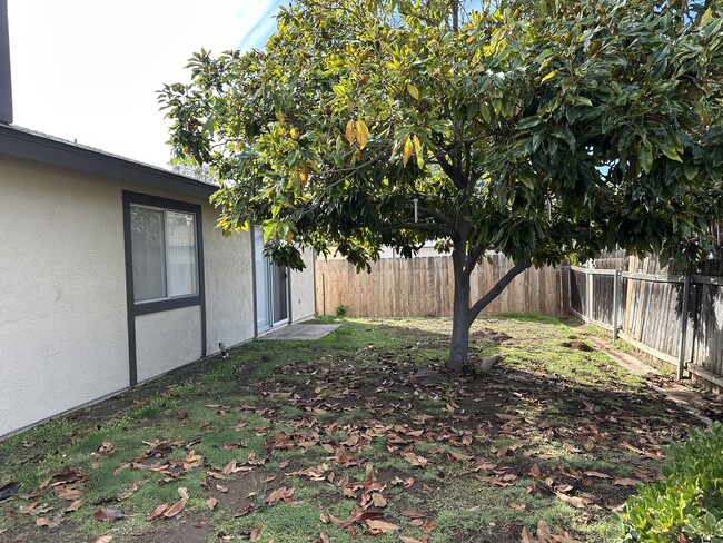 1371 Marline Ave, El Cajon, CA 92021 - photo 2