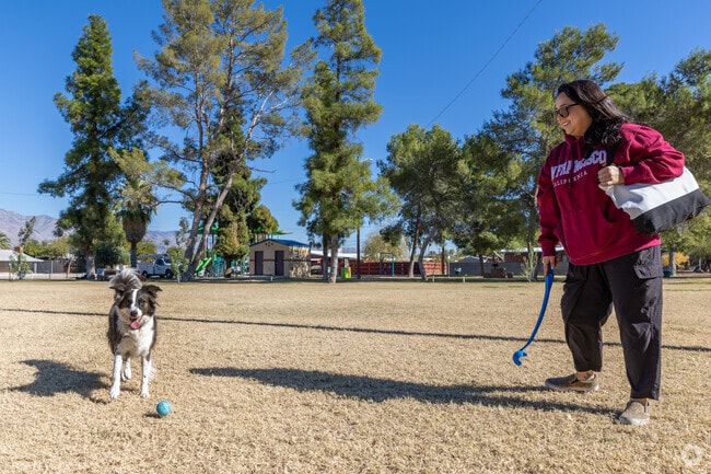 The dog park at Conner Park in Tucson, Arizona is a popular spot for Country Glenn residents.
