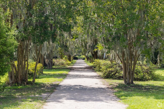 Explore the shaded trails and discover natures beauty in Hampton Park Terrace.