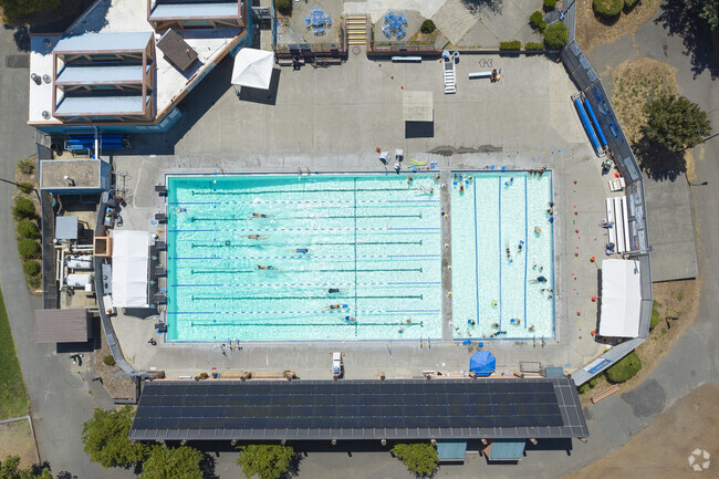 Take a swim at the community pool in Sebastopol, California.