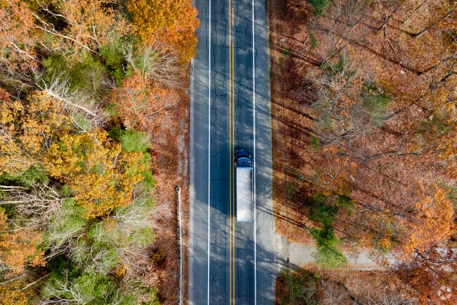 Foster is the perfect place to see fall foliage in full display.