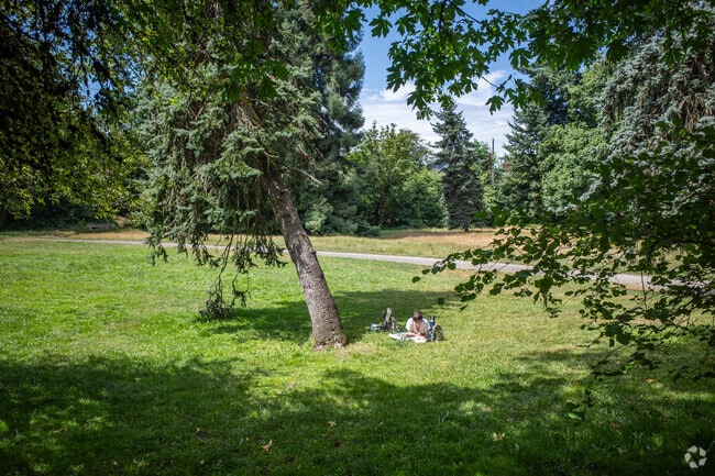 Cowen Park in Roosevelt can be a popular spot to enjoy a good book in the sunshine.