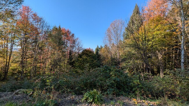 221 Deans Mountain Rd unit 1, Moretown, VT 05660 - photo 3