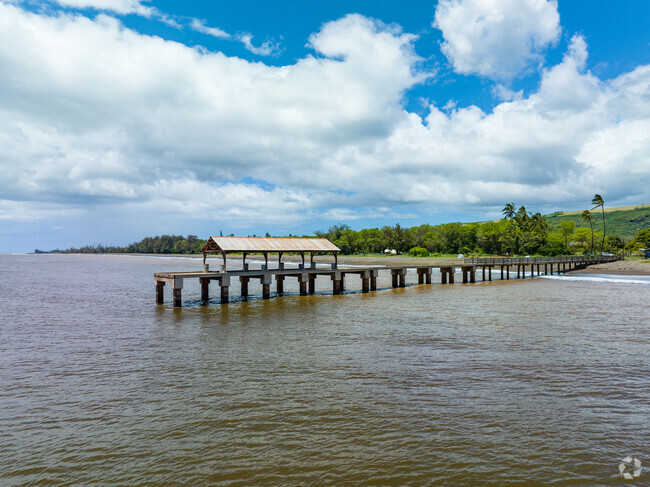The Wiamea Landing Recreational Pier is a fantastic spot for fishing.