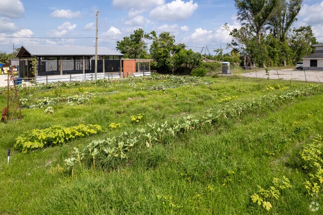 Students at Apostolic Revival Center Christian School in Fort Myers get to learn about farming.