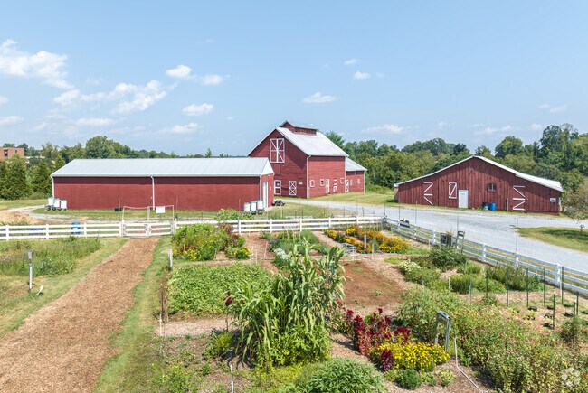 The HumanKind Community Garden is a 14 plot garden in Peakland ran by the HCMGA.