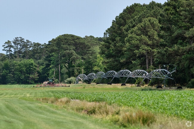Many large farms still populate the Onley region and are a part of the local economy.